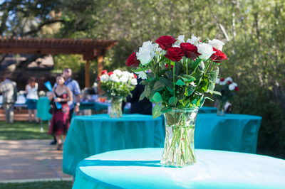 Toasting to Teal 2013 event photo 2