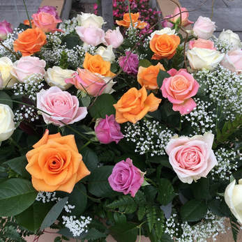 California Blooms